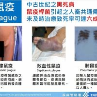 中國現4例鼠疫病例　民眾赴內蒙古、甘肅須當心囓齒類動物