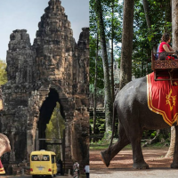 梁東屏@東南亞》柬埔寨禁止乘騎大象遊覽吳哥窟