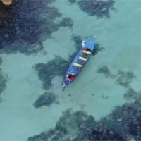 牙買加面臨珊瑚危機！漁夫轉職潛水員拯救生態
