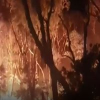 新南威爾斯森林大火繼續蔓延 雪梨市郊烈火熊熊