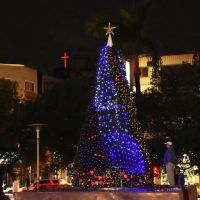 彰化府前廣場耶誕樹點燈歡慶耶誕節