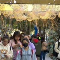 台北燈海點亮街道 花卉裝置藝術取代耶誕佈置