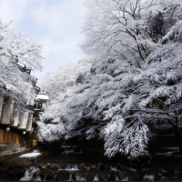 【京都雪景】搶見奇景！7大京都冬季推薦景點，什麼時候會下雪？