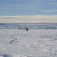 孤獨的南極探險者，大腦正在萎縮？