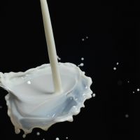 天然乳製品怎麼會含「反式脂肪」？ 原來關鍵在於牛、羊的消化道