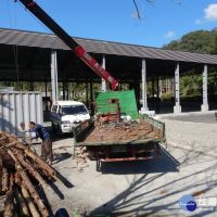 信義地利村運動會鋸木競賽及裝置藝術　林管處提供疏伐木