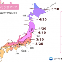 【趣吧】2020日本櫻花櫻前線出來囉！日本櫻花三大名所&人氣景點推薦