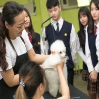 毛經濟崛起 明台高中寵物經營科夯