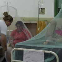 巴拉圭爆發登革熱疫情！首都宣布緊急狀態