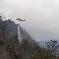 梨山火災毀3公頃林地 幸未波及復育地