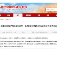 快新聞／武漢肺炎還沒完 中國湖南再爆H5N1高致病性禽流感