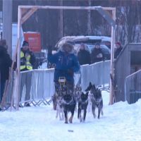 雪橇狗650公里長征 挪威62歲消防隊員奪冠
