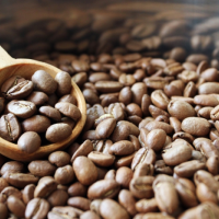 愛妻咖啡豆 一貫作業生產 讓愛無雜質