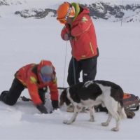 雪崩救星！直擊雪地救難犬訓練過程