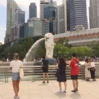 全球／國際金融交通樞紐 新加坡慘淪跨境傳染中心