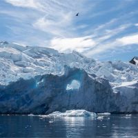 南極洲熱浪來襲持續9天！短短一周積雪總量融化20%