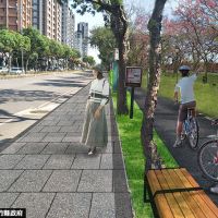 竹北市興隆路微整 造櫻花海步道