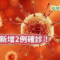 【武漢肺炎】新增2例確診　國內累計47人罹新冠肺炎