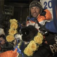 10隻狗狗「9天10小時」長征1800公里！阿拉斯加狗拉雪橇賽奪冠
