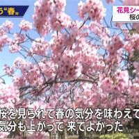日本國內病例破1千大關 上野公園櫻花祭取消