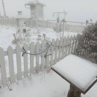 玉山降雪積雪0.5公分