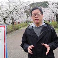 日本京都櫻花季嘸人 觀光業大受影響