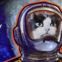 費利切特是第一隻進入太空的貓科動物，她終於得到了應得的榮譽
