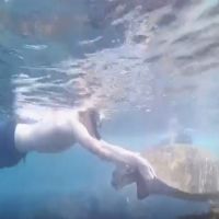 琉球再傳遊客戲海龜 海巡帶回19歲法籍男子