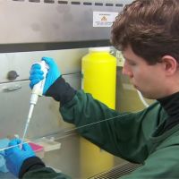澳洲研究發現「頭蝨藥」能抑制武肺病毒生長！ 最快一個月內展開人體試驗