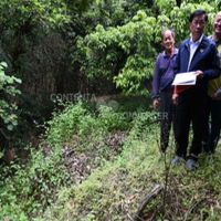 林明溱縣長會勘集集野溪及排水 雨季前施工改善