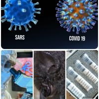 Discovery《新型冠狀病毒大流行》專家揭露新冠肺炎傳播途徑