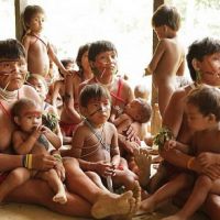 亞馬遜雨林也難逃新冠肺炎疫情  巴西原民男孩染病喪命