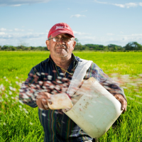 Agrocorp用區塊鏈完成1200萬美元的小麥交易！來看區塊鏈在農業的5種應用實例