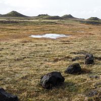 《享夢誌》冰島是否孤獨  專訪張曉冬