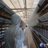 禽流感疫情仍不時傳出　南市農業局強化防疫作為