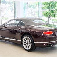 V8更熱血 Bentley Continental GT V8 / V8 Convertible