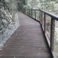 八仙山國家森林遊樂區整修完成　無障礙通行步道重開放