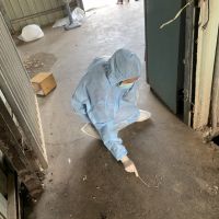 督導業者落實禽流感防疫　南市動保處進行全市養禽場逐場查核　