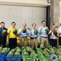 中市企業認購4噸西瓜　協助農民度難關