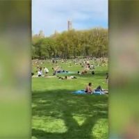 紐約市長千叮萬囑沒用！市民聚集中央公園享受日光浴
