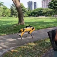 監看社交距離    新加坡派機器狗公園巡邏