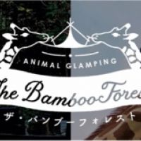 【千葉縣】「動物園」×「豪華露營」！一起來看看誕生於千葉的動物豪華露營設施ー【THE BAMBOO FOREST】