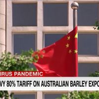 提案調查疫情惹習近平生氣？中國突然宣布加徵澳洲大麥80%關稅