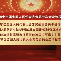 中國人大強推香港版國安法　民進黨發聲明嚴厲譴責