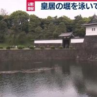 日本男子跳護城河意圖潛入皇宮！當場遭皇家警察逮捕