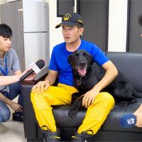 曾參與台南、花蓮地震救難 搜救犬「宙斯」退役找新家