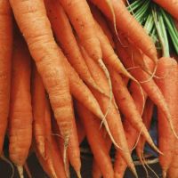 維生素A中毒怪吃太多胡蘿蔔？ 3種日常習慣是主要元凶