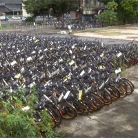oBike倒閉了 新北市拍賣單車每輛僅3元