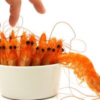 男子聚餐狂嗑20隻蝦 未料痛風發作幾乎寸步難行