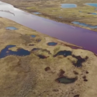 俄北極圈內漏油兩萬噸 蒲亭宣布進入緊急狀態